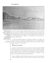 Load image into Gallery viewer, Brignais - April 6, 1362  (in French)