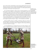 Load image into Gallery viewer, Brignais - April 6, 1362  (in French)
