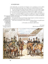 Charger l'image dans la galerie, Les Quatre-Bras - 16 Juin 1815