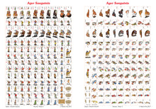 Load image into Gallery viewer, Planche de pions 2 pour Ager Sanguinis avec des pions Turcs