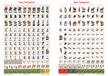 Load image into Gallery viewer, Planche de pions 1 pour Ager Sanguinis avec des pions croisés et Hospitaliers