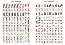 Load image into Gallery viewer, Planche de pions 4 pour Ager Sanguinis avec des pions croisés et Turcs