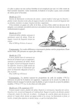 Charger l'image dans la galerie, Les armes à feu