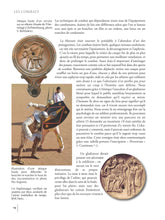 Charger l'image dans la galerie, Les Gladiateurs - Histoire et armement