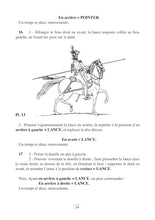 Charger l'image dans la galerie, La lance et son maniement