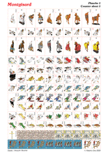 Load image into Gallery viewer, Pack of (3) MONTGISARD Counter Sheets
